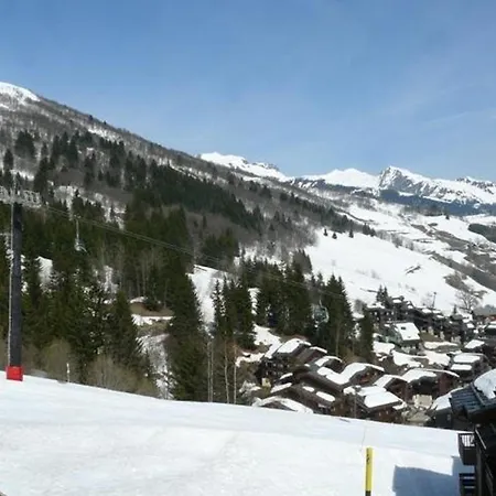 Au Pied Des Pistes Avec Animaux Acceptes A - Fr-1-356-304 Daire Valmorel
